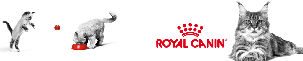 Logotipo Marca Royal Canin Alimentos para Gatos