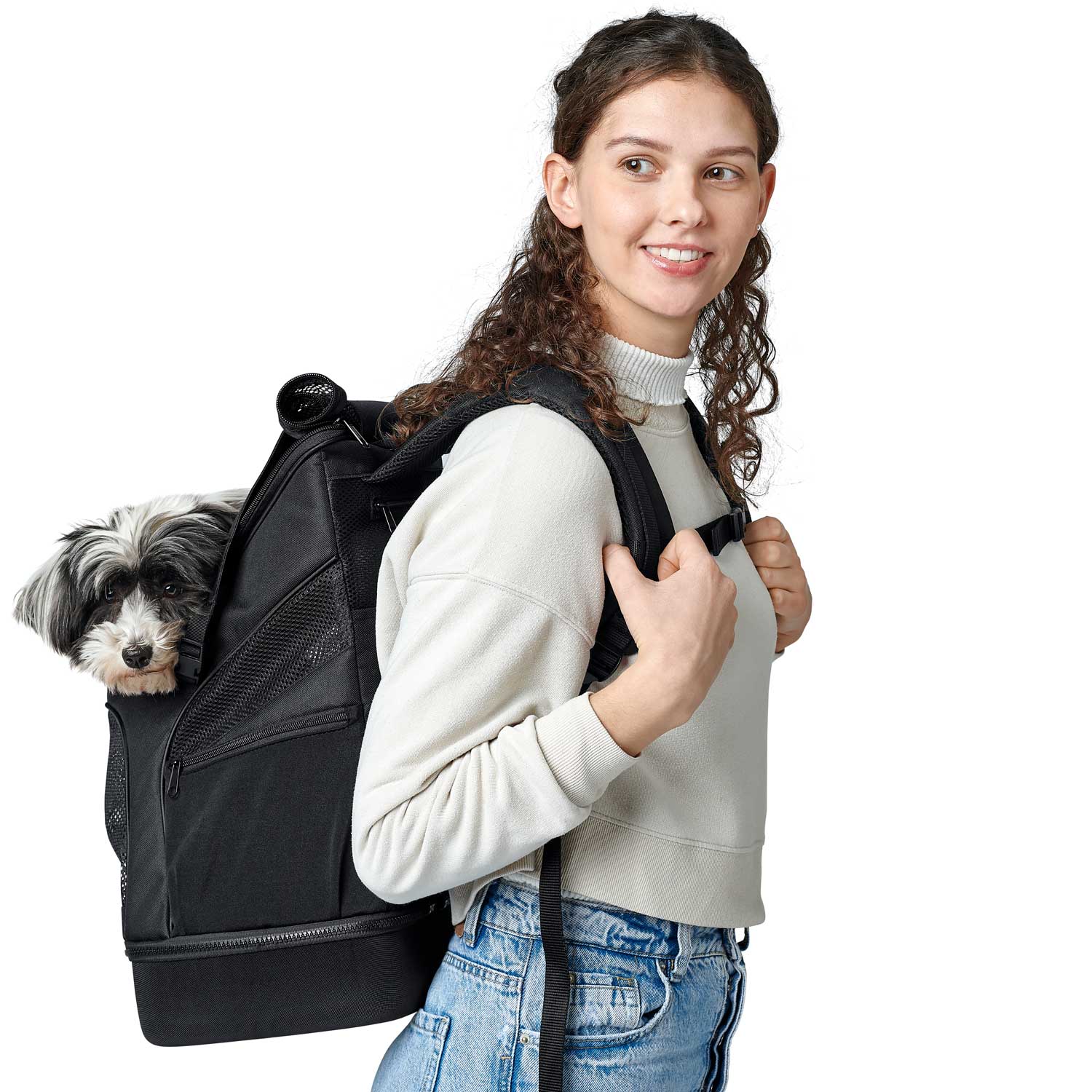 Mochila de transporte online para perros