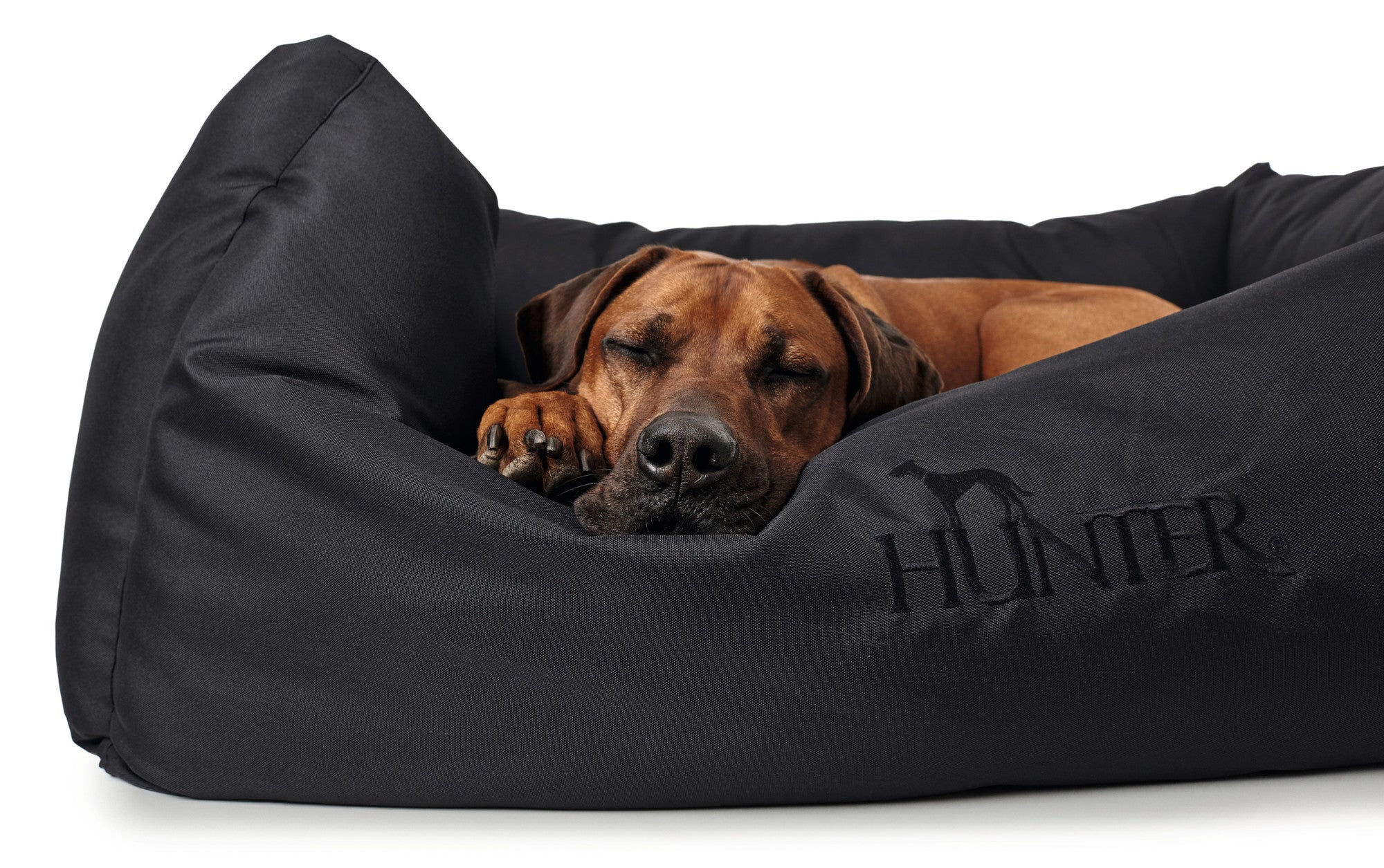 Hunter sales cama perro