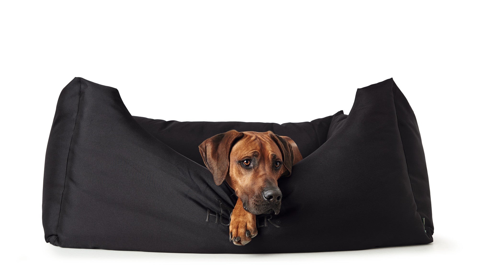 Camas hunter para perros sales